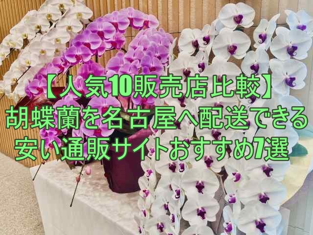 胡蝶蘭を名古屋へ配送できる安い通販サイトおすすめ7選