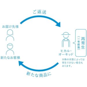 苗の無料回収と苗の再生利用